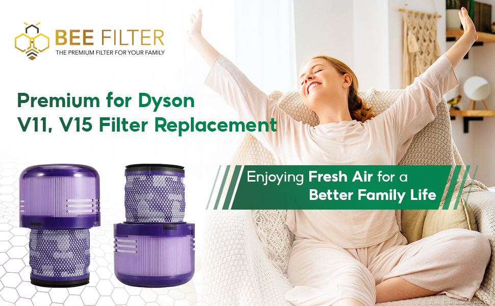 dyson; dyson vacuum; dayson; dyson cordless vacuum; dyson filter replacement; dyson v15 detect
